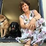 Profile Picture of Sue Stich (@osstich) on Instagram