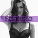 Profile Picture of Poinsettia - Lingerie & Swimwear (@poinsettiastyle) on Pinterest