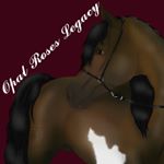 Profile Picture of Opal Roses Legacy (@opal_roses_legacy) on Instagram