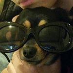 Profile Picture of Matthew Tran (@mattlovesfreeitems) on Instagram