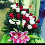 Profile Picture of Vincent Rousseaux (@vincent_rousseaux_) on Instagram