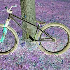 Profile Picture of Justin Kohl (@@justinkohl8) on Tiktok