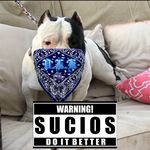 Profile Picture of Joe A Serna (@joe_serna_vlk) on Instagram