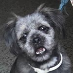 Profile Picture of Teddy”Scott” (@ted_dyscott) on Instagram