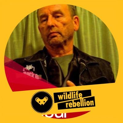 Profile Picture of John Wilson (@John1box) on Twitter