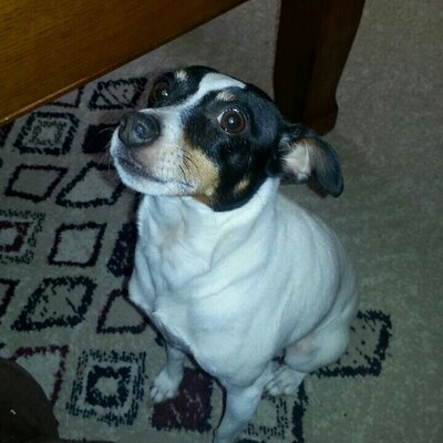 Profile Picture of Michele Bloomfield (@MicheleBloomfi2) on Twitter