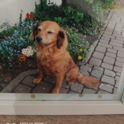 Profile Picture of Tom Hempel (@TomHempel7) on Twitter