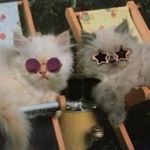 Profile Picture of dylan mccarty (@dylanmcfarty) on Instagram