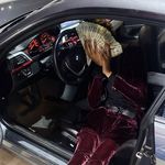 Profile Picture of Scotty dirt 🔒 (@scottyhavinn) on Instagram