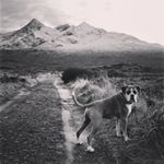 Profile Picture of Laura Docherty (@iamlauradocherty) on Instagram