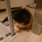 Profile Picture of Steven Del Mar (@stefanpanzerkampf) on Facebook