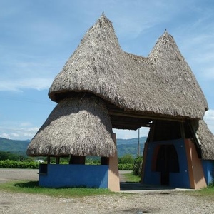 Profile Picture of Tony Pangaro (@italoamericanolib) on Myspace