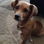 Profile Picture of Ginny Bailey (@ginnybailey325) on Instagram