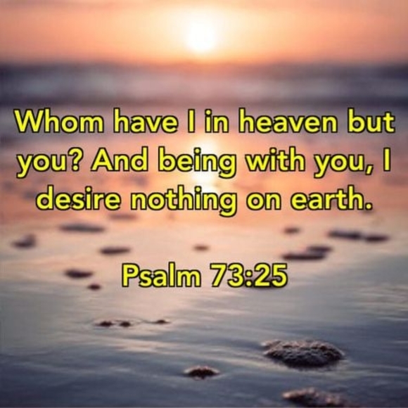 Profile Picture of Amanda Dyer (@amandadyer246) on Poshmark