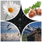 Profile Picture of Michele S. Dufour Jones (@mjones7489) on Instagram