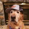 Profile Picture of Adam Wills (@@adamwills74) on Tiktok
