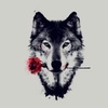 Profile Picture of Gilbert Arroyo (@@silentninja7) on Tiktok