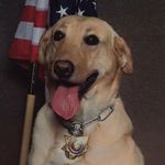 Profile Picture of Dustin Remington (@remingtondustin) on Instagram