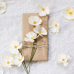 Profile Picture of Lise Pavich (@pavichlise) on Flickr