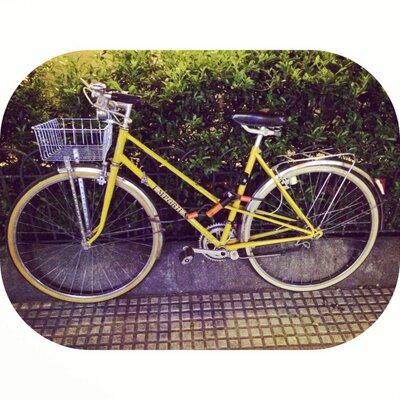 Profile Picture of Lucia Osorio Cabello (@LuOsorioCabello) on Twitter