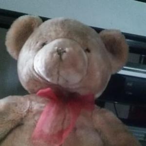 Profile Picture of Cristal Perez (@cristalperez101) on Twitter