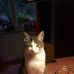 Profile Picture of Iris Mohr (@Iris-Mohr) on Facebook