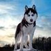 Profile Picture of lucas milone (@lucasnicolasmilonecastro24) on Pinterest