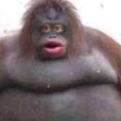 Profile Picture of Dylan Nevin (@dylannevin1437) on Youtube