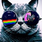 Camden Wright - Instagram Profile Picture of Camden Wright (@camdenwrighhtt) on Instagram