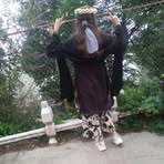 Profile Picture of Aliza Farooq (@Aliza-Farooq) on Facebook
