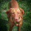 Profile Picture of Michelle Miklas (@hunter330) on Pinterest