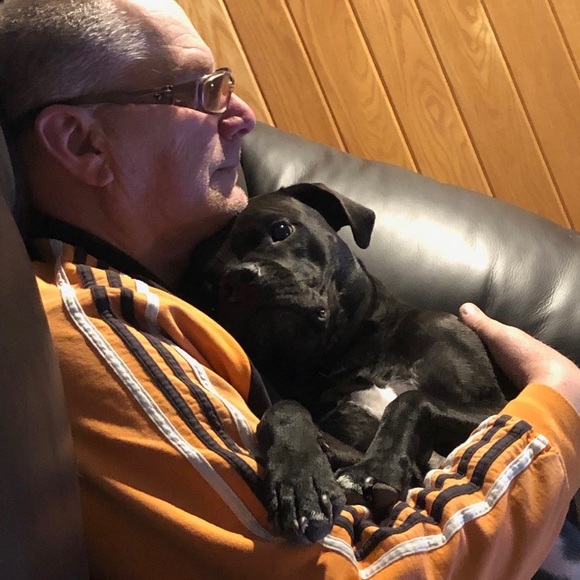 Profile Picture of David Raymond (@draymond53) on Poshmark