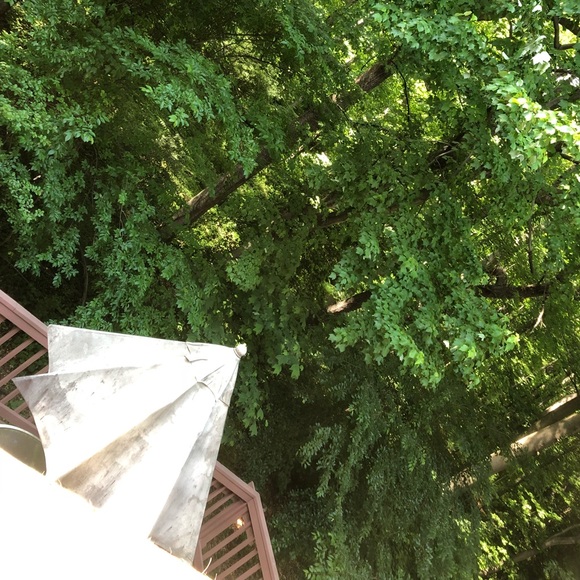 Profile Picture of Abeer Irfan (@abeer99) on Poshmark