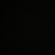 Profile Picture of Sophia Zampirri (@sophiazampirri6546) on Youtube