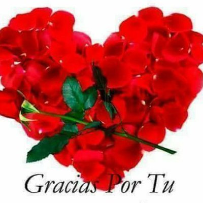 Mindy Perez - Twitter Profile Picture of Mindy Perez (@mindyperez705) on Twitter