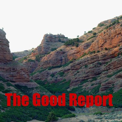 Profile Picture of Gabriel Bartlett (@The_Good_Report) on Twitter