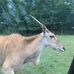 Profile Picture of James Arniotis (@james.arniotis.71) on Facebook