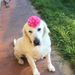 Profile Picture of Isabella Jarvis (@idaraej) on Pinterest