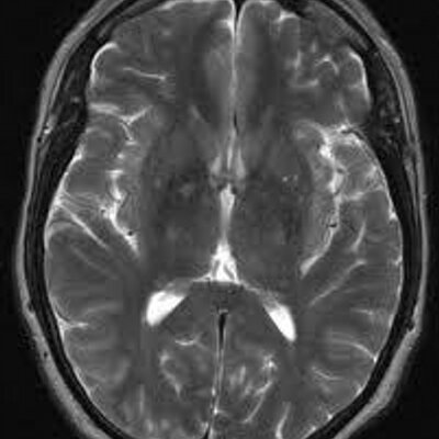 Profile Picture of W. Bryan Winn (@icyberg) on Twitter