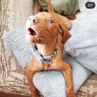 Profile Picture of David Byczek (@davidbyczek) on Instagram