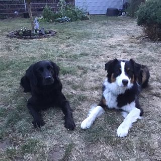 Profile Picture of Alexandra Geitner (@alexandra.geitner) on Facebook