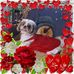 Profile Picture of Sherry Lynn Evilsizer Kruckeberg (@sherry.evilsizerkruckeberg) on Facebook