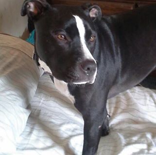 Profile Picture of Jason Hauze (@jason.hauze) on Facebook