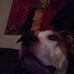 Profile Picture of Max Thomsen (@max.thomsen.77736310) on Facebook