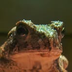 Profile Picture of Hunter Couch (@Hunter-Couch) on Facebook