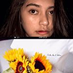 Profile Picture of 𝓶𝓮𝓲 (@meiluik) on Instagram