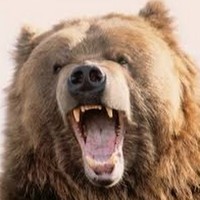 Profile Picture of David Lowther (@david-lowther-10) on Quora