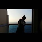 Profile Picture of Sze Hui Tung 鄧詩潓 (@szehuitung) on Instagram