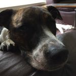 Profile Picture of Paris Howard (@paris__howard) on Instagram