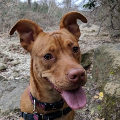 Profile Picture of Andrew Eagan (@AndrewEagan) on Twitter